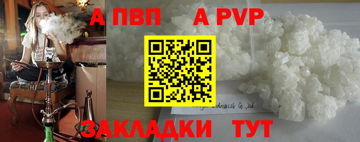 Alfa_PVP СК Курчалой