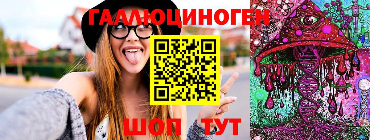 Псилоцибиновые грибы GOLDEN TEACHER  Вход с VPN  Курчалой 